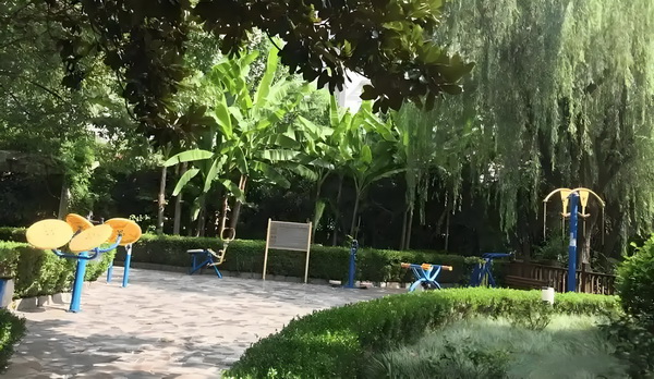 外媒：英裔伊朗妇女纳扎宁从伊朗监狱获释三天